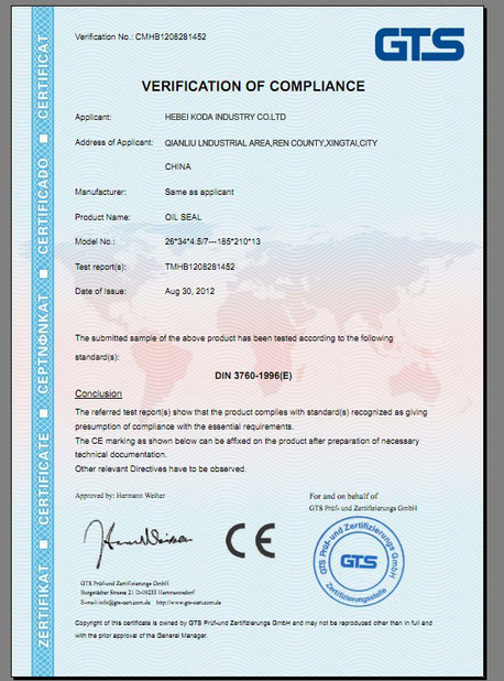 China Xingtai KODA Industry Co., Ltd. certification