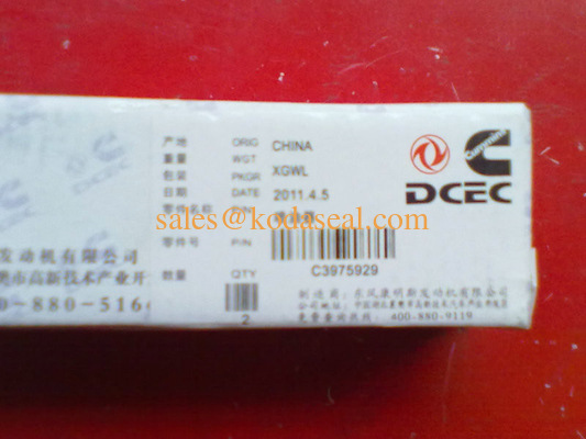 Cummins Diesel Injector 3975929 