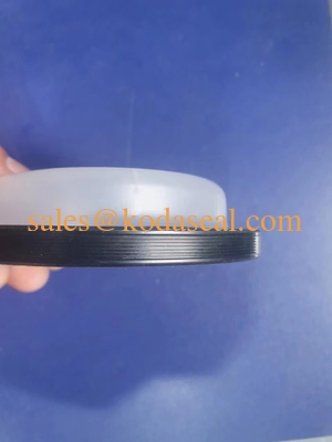 Iran Oil Seal High Quality PTFE FKM FPM NBR ACM VITON Rubber Oil Seal Various Types &amp; Colors Oil Seal 85*105*8.8 For EF7